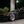 Load image into Gallery viewer, C5 Corvette RGB Sleepy Eye Headlights (New for 2024!)
